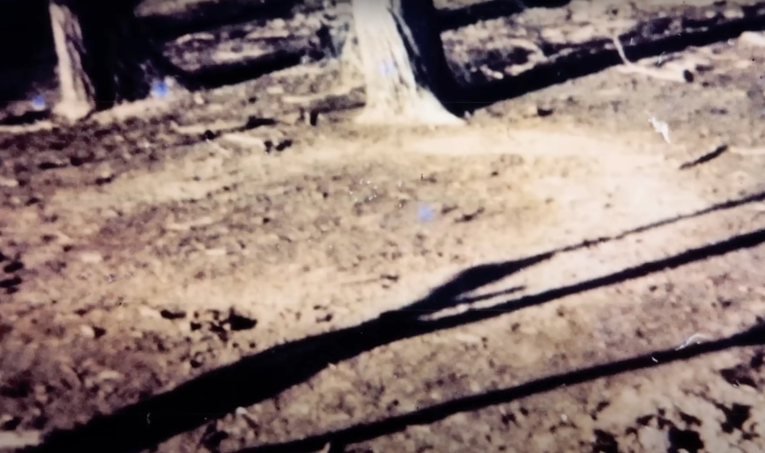 A photograph taken of the UFO scorch marks.