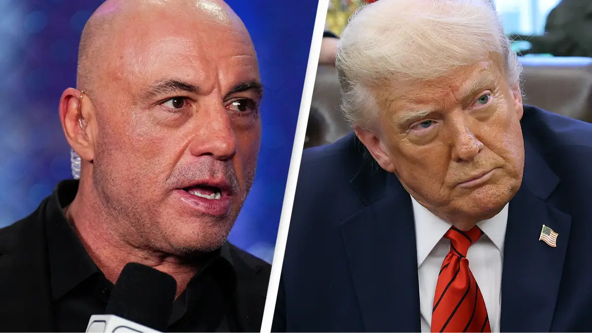 Chris Unger/Zuffa LLC via Getty images/Win McNamee/Getty Images