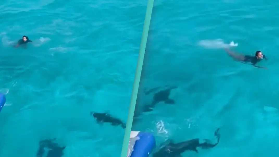 Reddit/u/Missahmissy