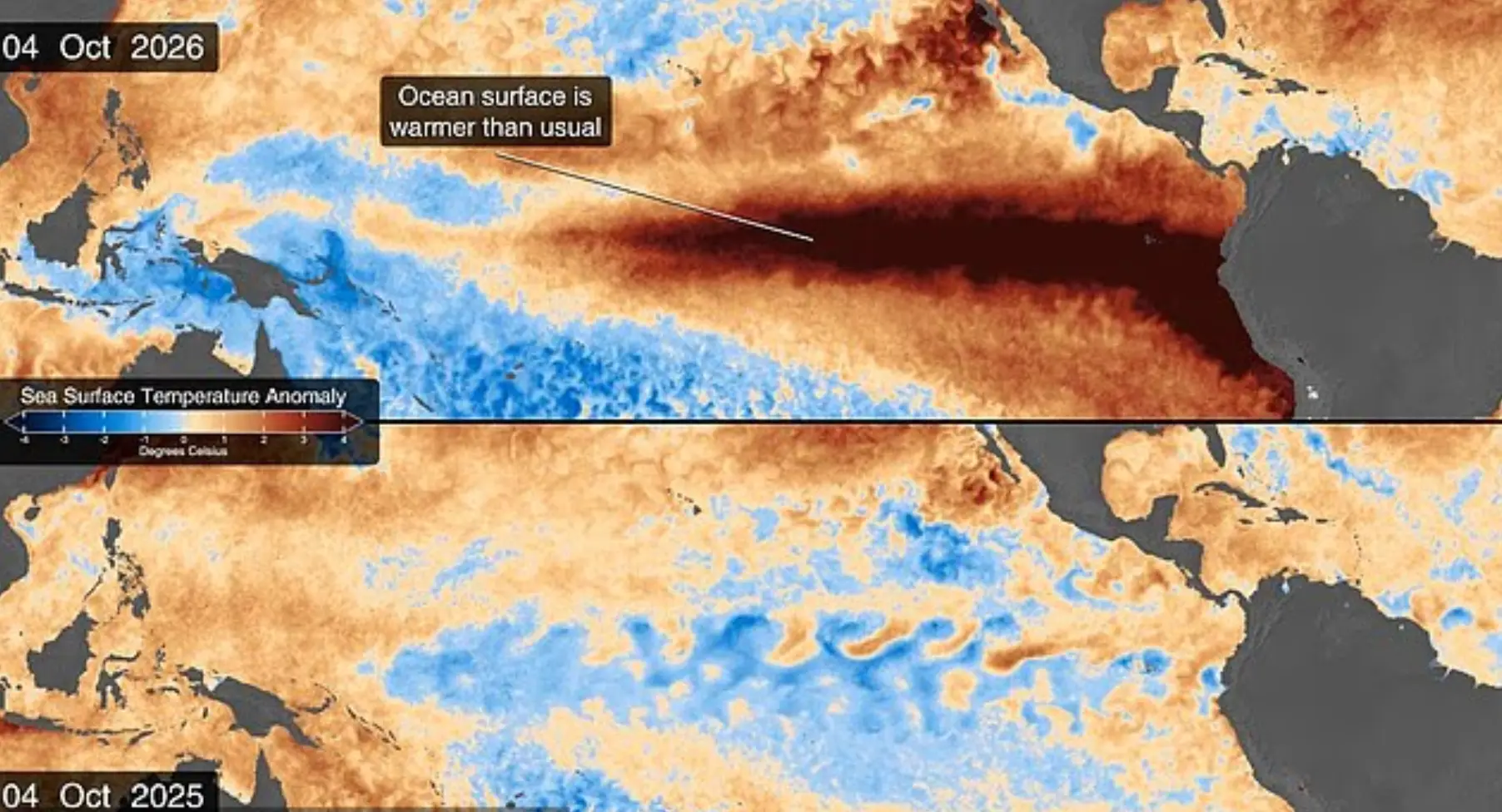 Satellite data highlights an expanding band of unusually warm water stretching across the Pacific in October 2026, raising sea surface temperatures and disrupting the entire marine ecosystem (NASA's Scientific Visualization Studio)