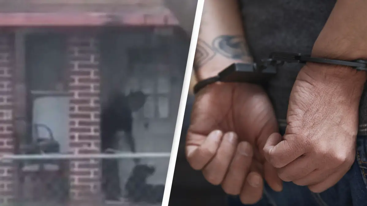 Animal Care Services/ Cavan Images / Alamy Stock Photo