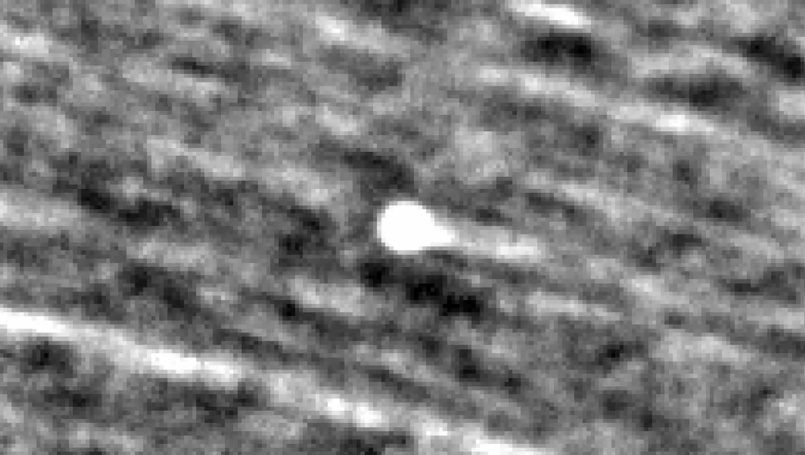 The comet's tail can be seen in the PUNCH mission's photo (NASA)