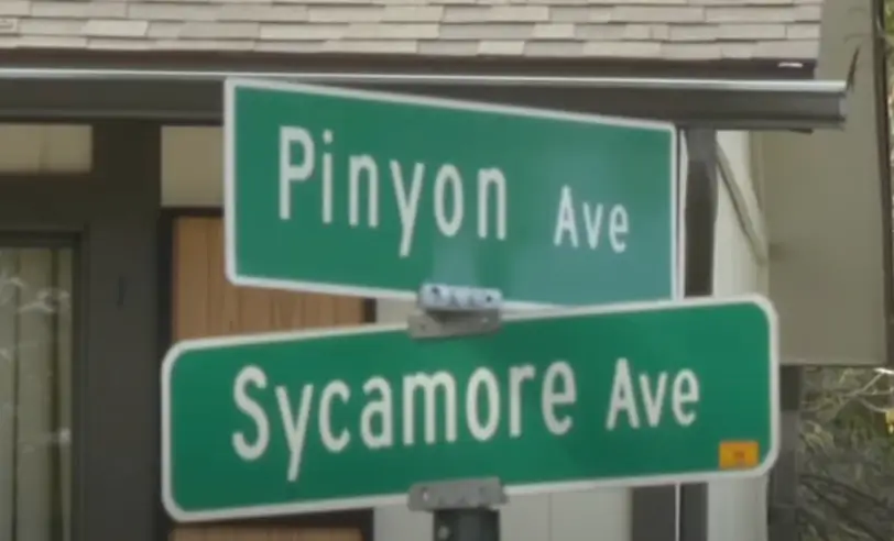 The 16-year-old was last seen in 2005 (YouTube/ ABC 7 Chicago) 