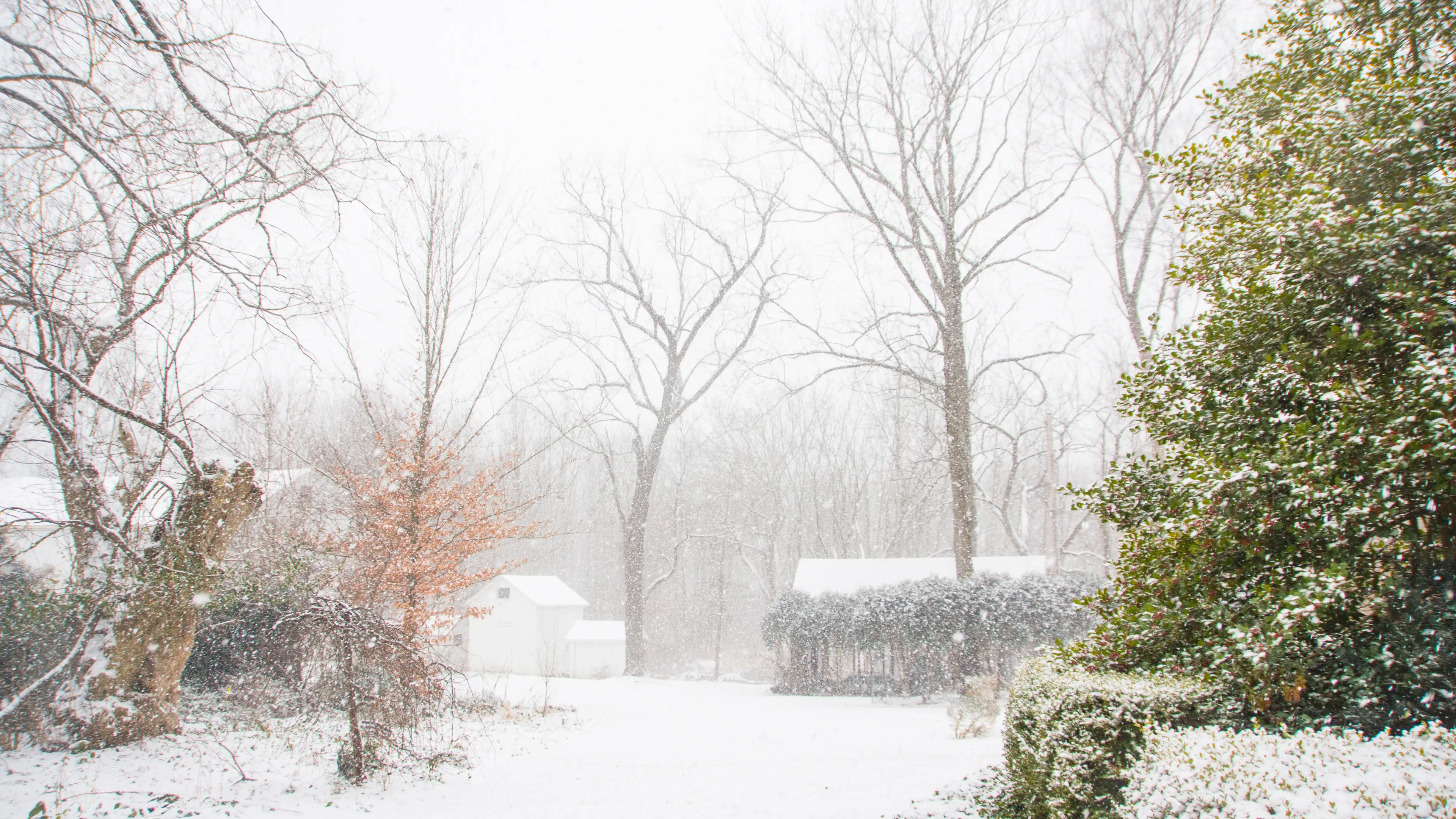 The preliminary report suggests she passed away as a result of hypothermia (Getty Images/ Kryssia Campos) 