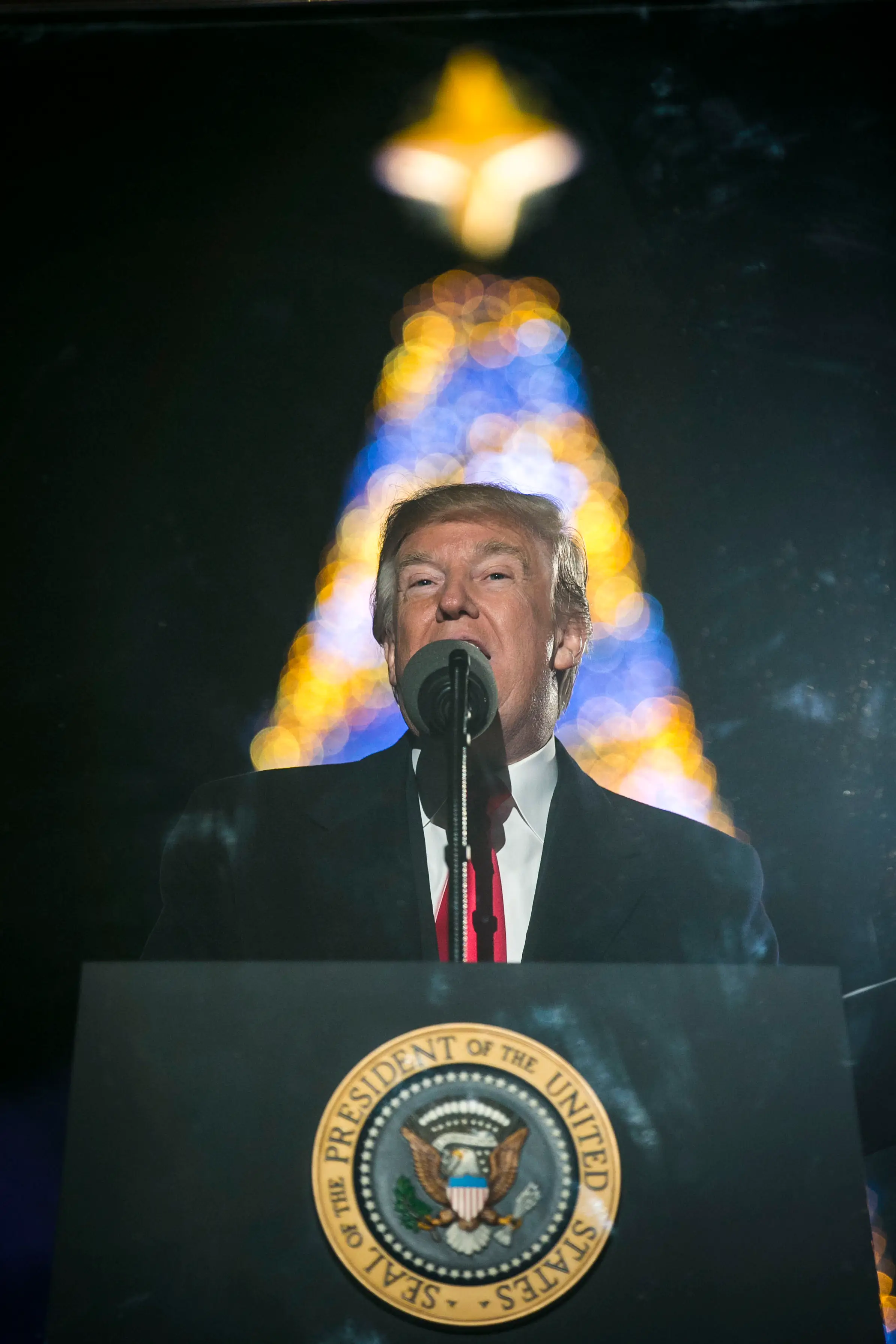 Andrea could not face her Trump-voting relatives after the election (Al Drago-Pool/Getty Images)