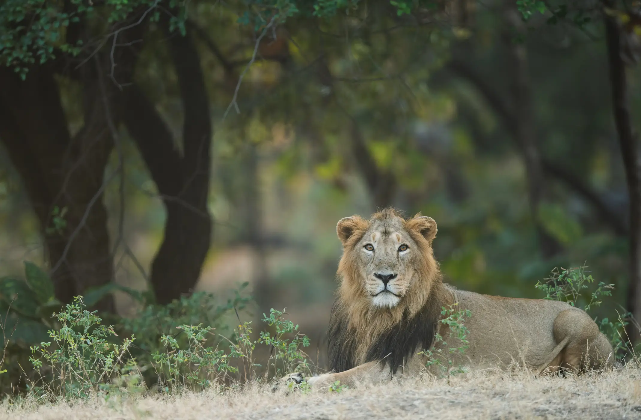 The tragedy raised questions about safety procedures (Nag Arjun / 500px / Getty Stock Image)