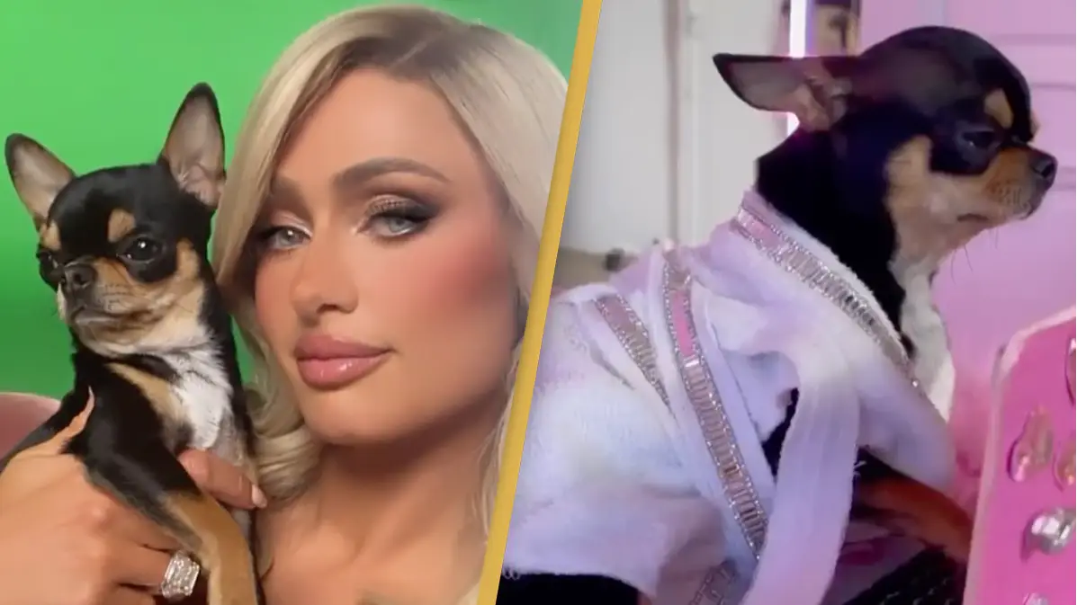 @parishilton/Instagram