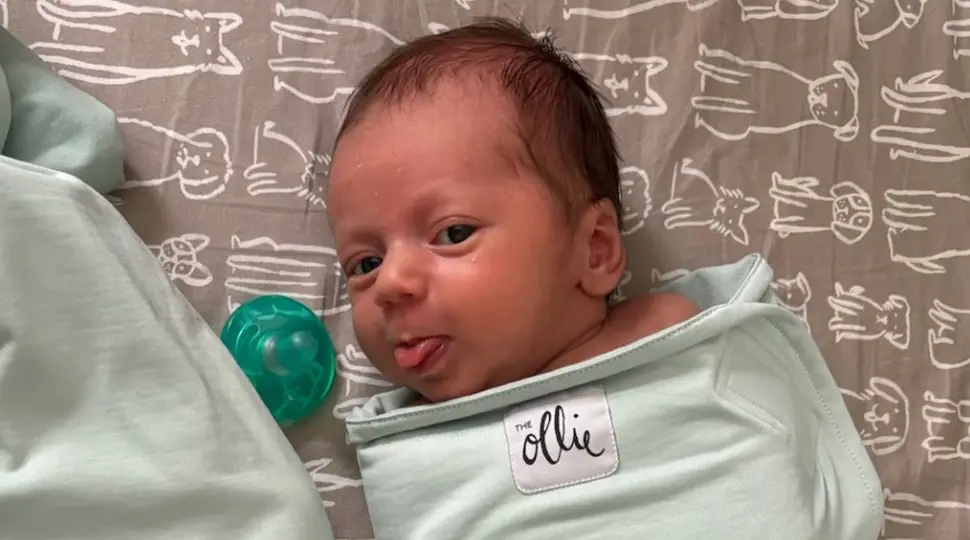 Leo has tragically died at six weeks old. (GoFundMe)