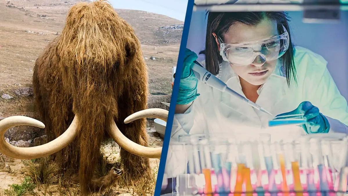 Jean-Marc ZAORSKI/Gamma-Rapho via Getty Images / Getty Stock Images