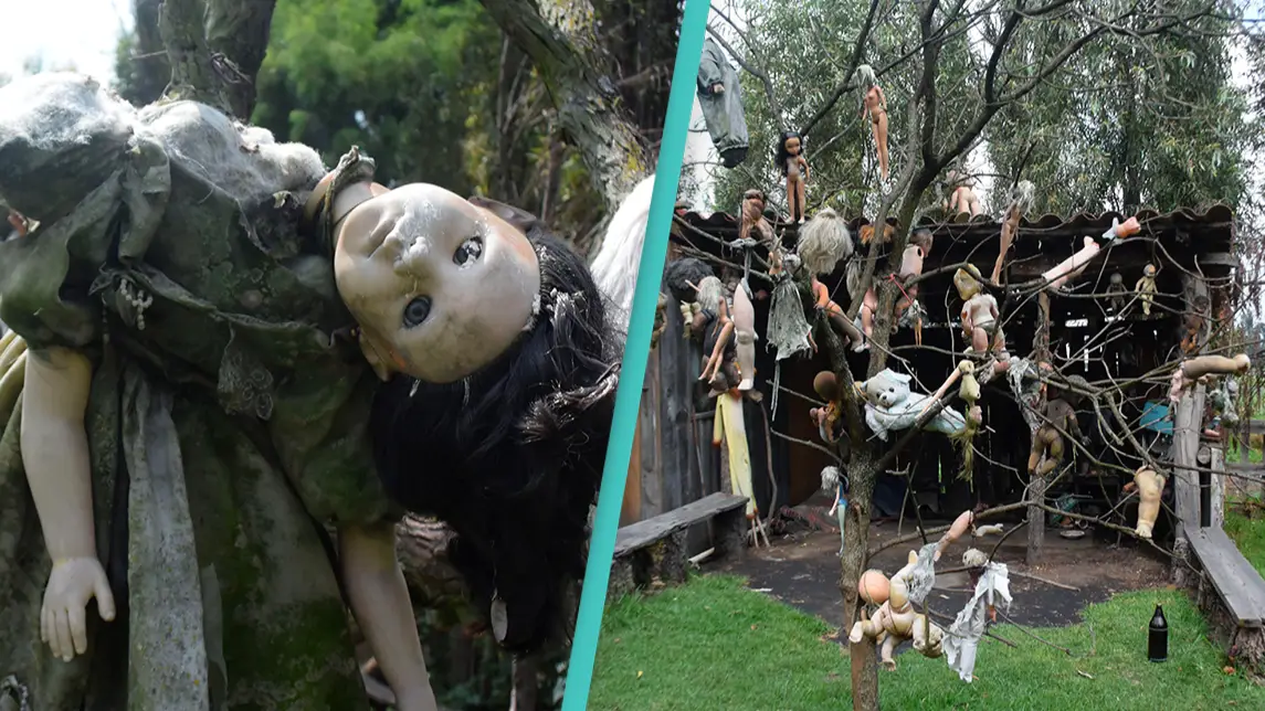 Sad story behind Mexico island filled with 'dead dolls'