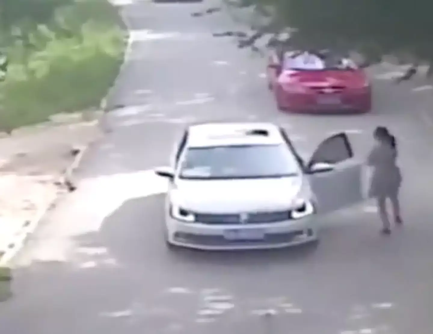 The woman was dragged away before her family leapt to action (Badaling Wildlife World)