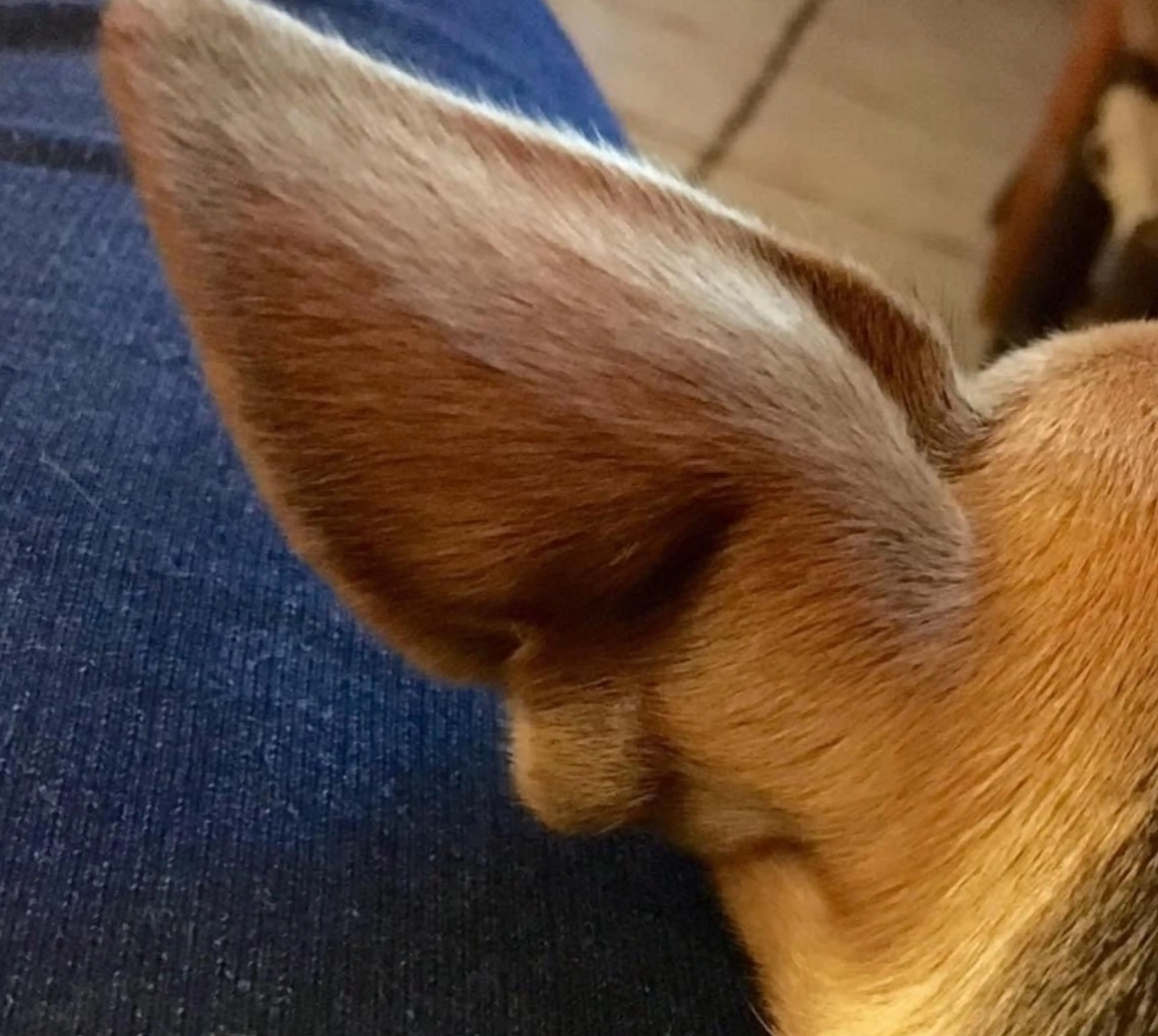 Once you spot it, you can't un-see it!