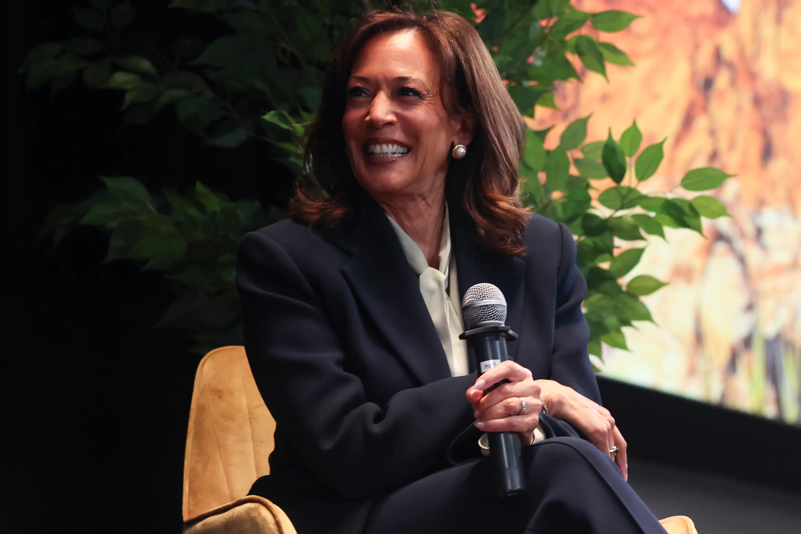 Harris also commented on whether she plans to run for the White House again (Ian Maule/Getty Images)