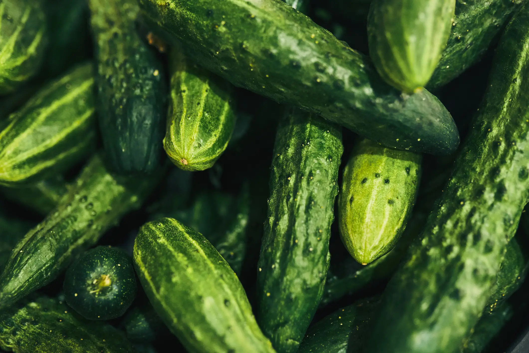 Iceland is seeing a problem with its cucumber supply. (Getty Stock Photo)