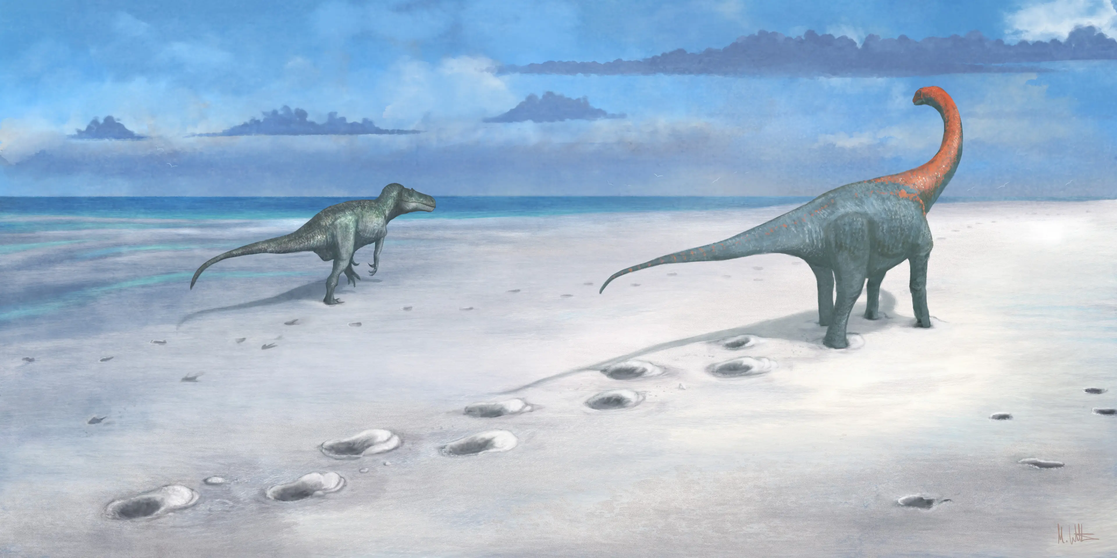 How the Megalosaurus and Cetiosaurus may have created the footprints found (Mark Witton/University of Birmingham/PA Wire)
