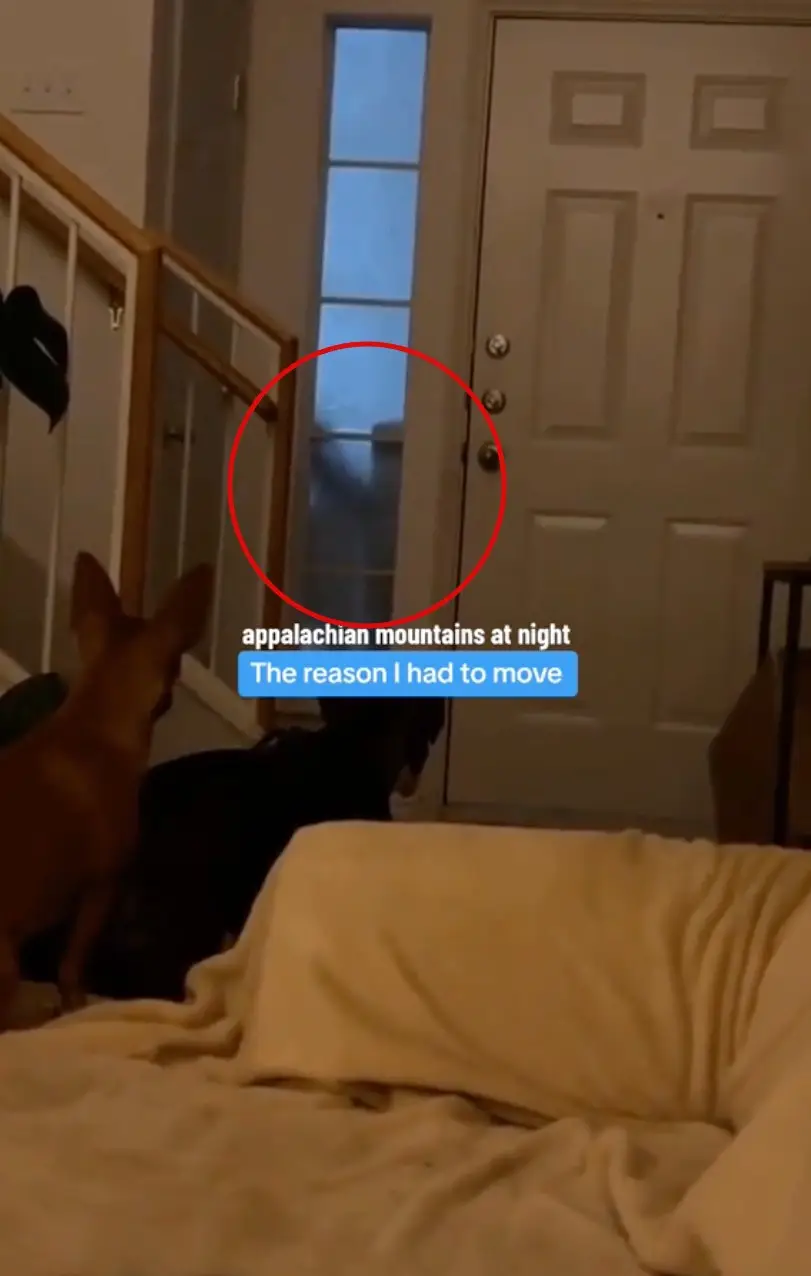 An eerie figure could be seen in the window.