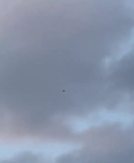 What do you think it is?