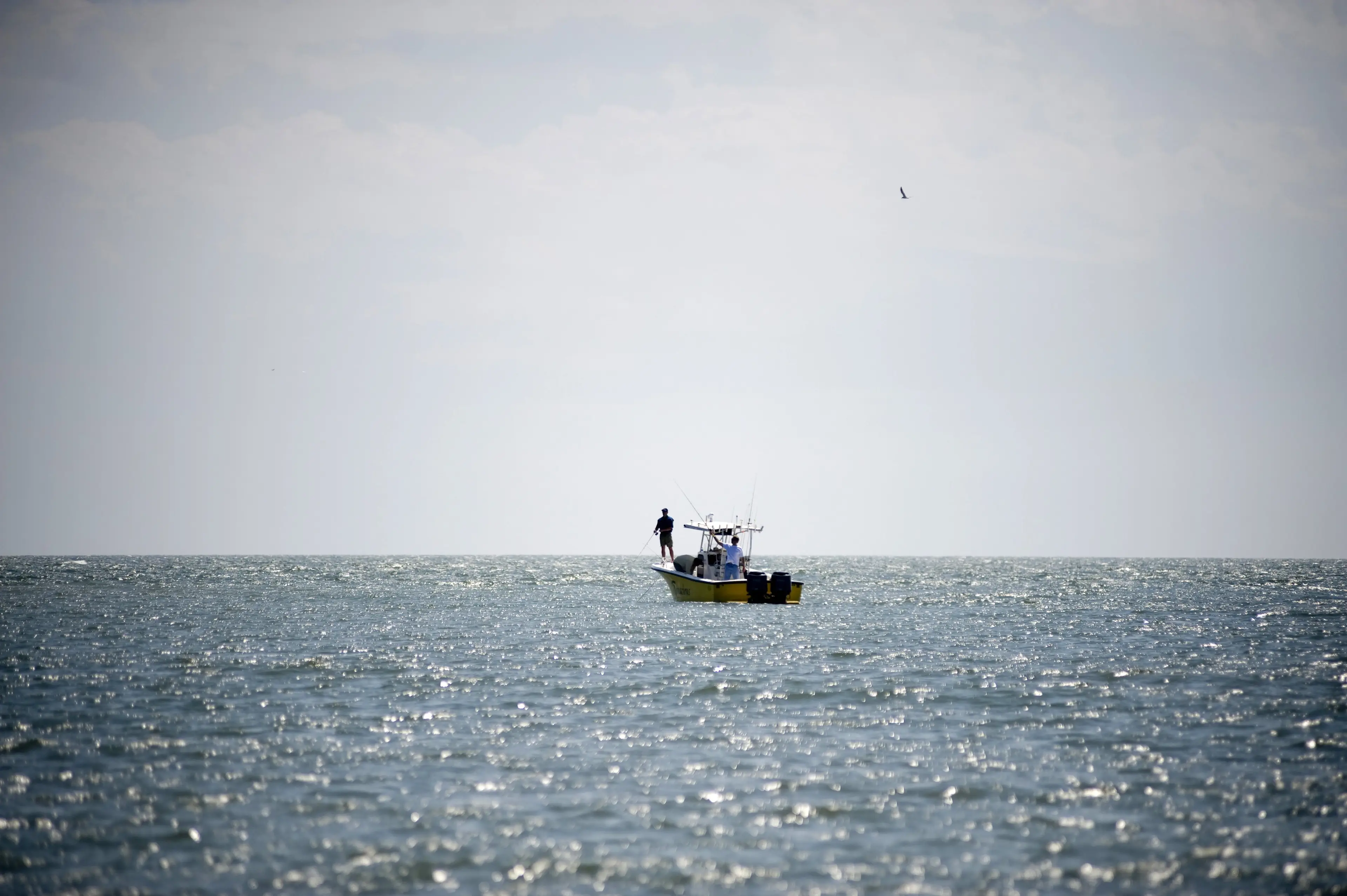 Gelé has ventured out over the years with a local shrimper (Brandon Thibodeaux/Getty Images/Getty Stock)