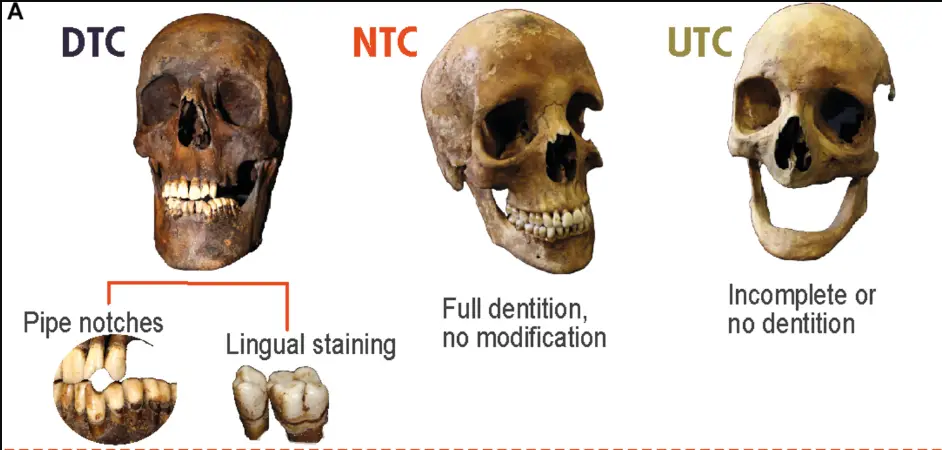 Scientists were easily able to identify the smokers, which they labeled as detected tobacco consumers (DTCs), from the non-smokers, the non-detected tobacco consumers (NTCs/UTCs/Science Advances)