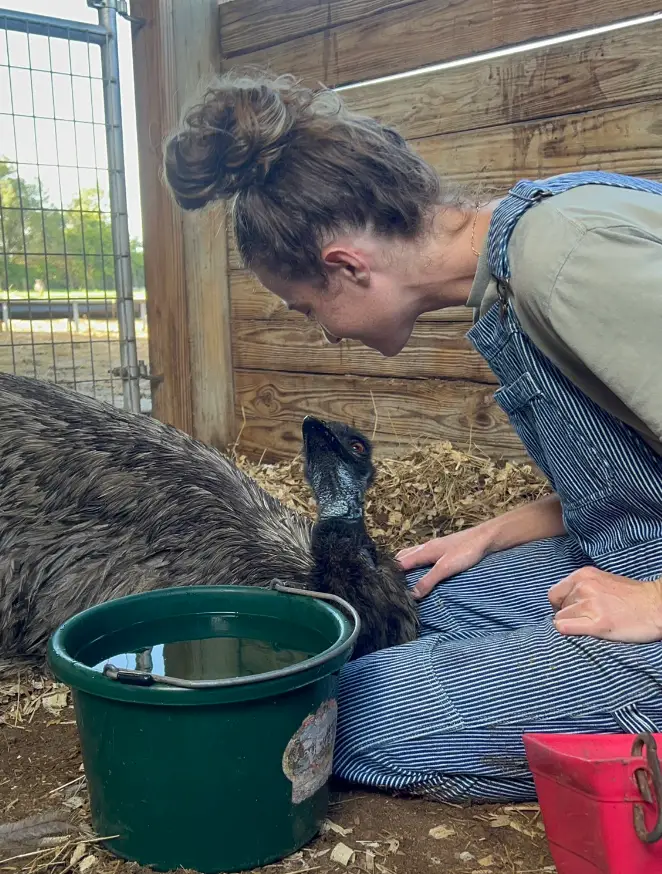 It was feared that Emmanuel would cause the next pandemic.