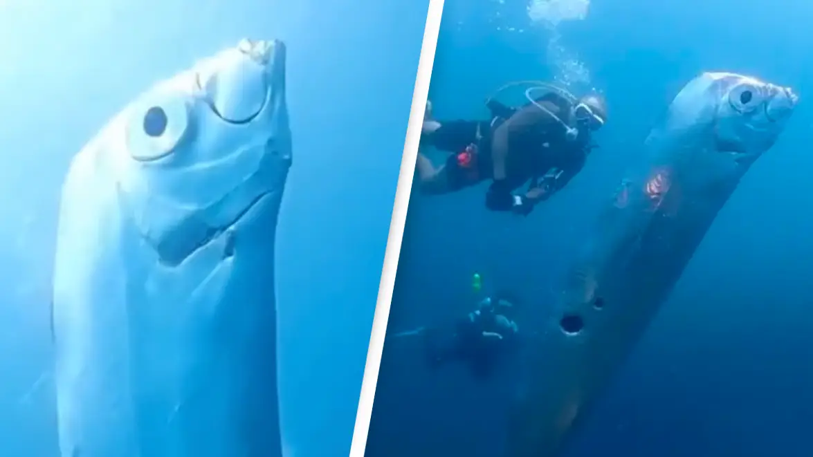 Jam Press/@chengruwang