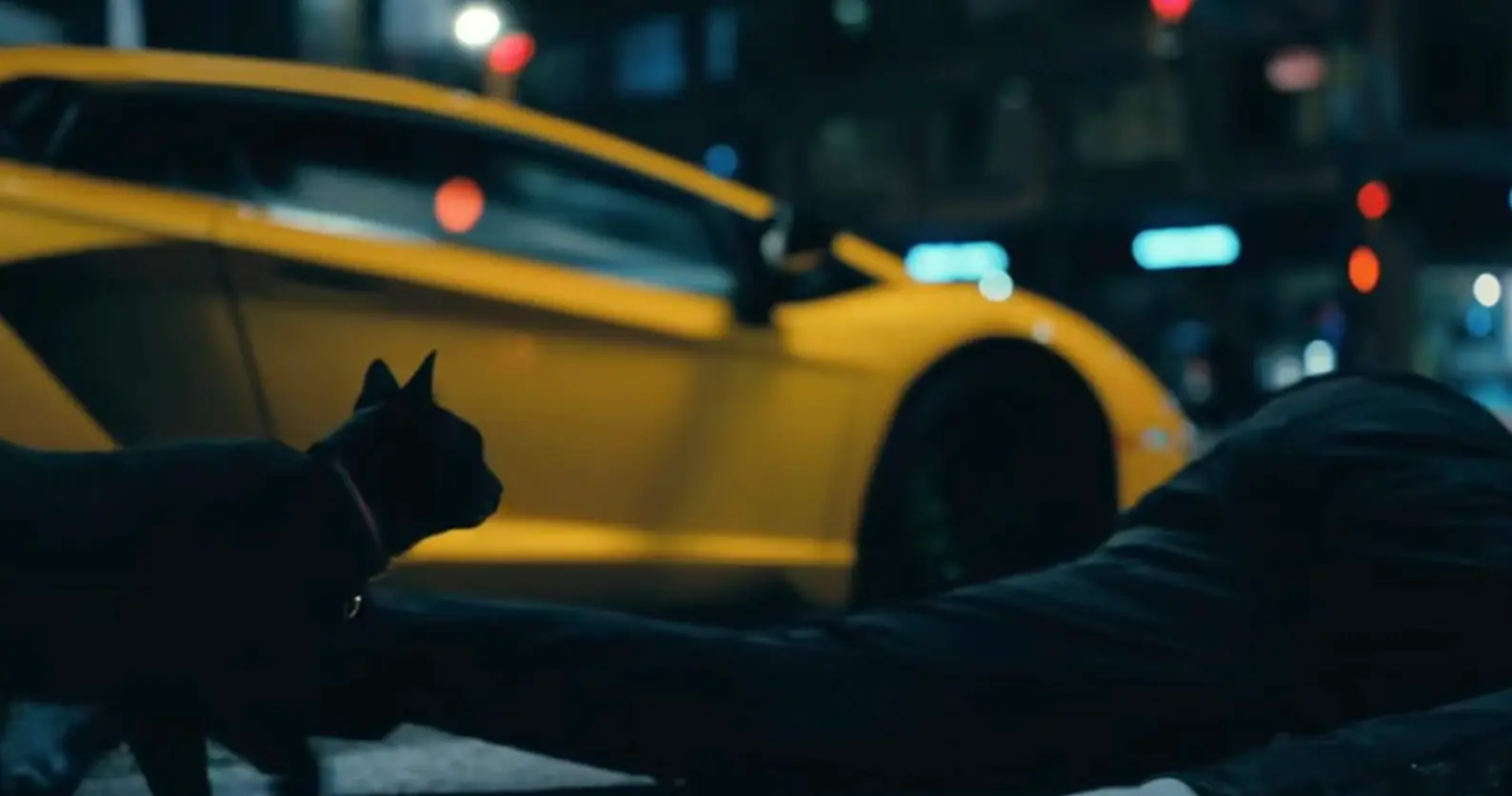 The Fall of the House of Usher has been well-received, apart from the cat.