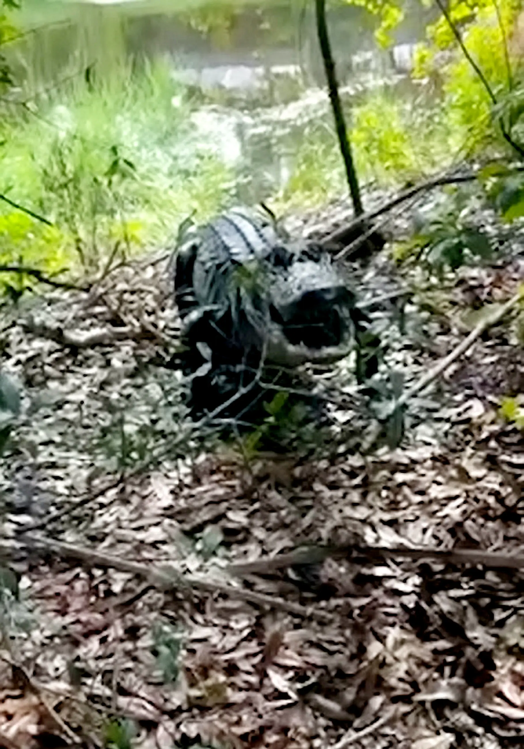 Skovran hopes people can learn from his terrifying ordeal.