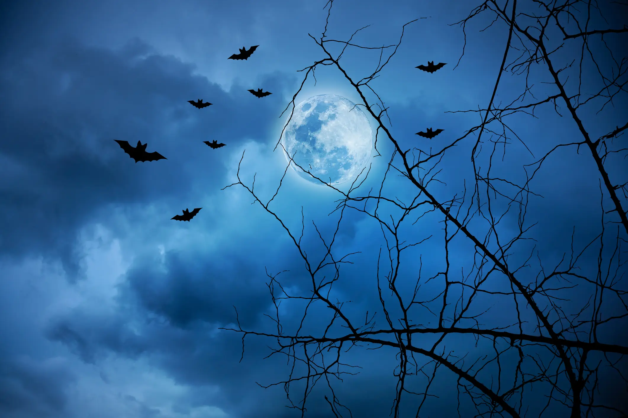 People claim to have seen ghosts (Getty Stock Images)