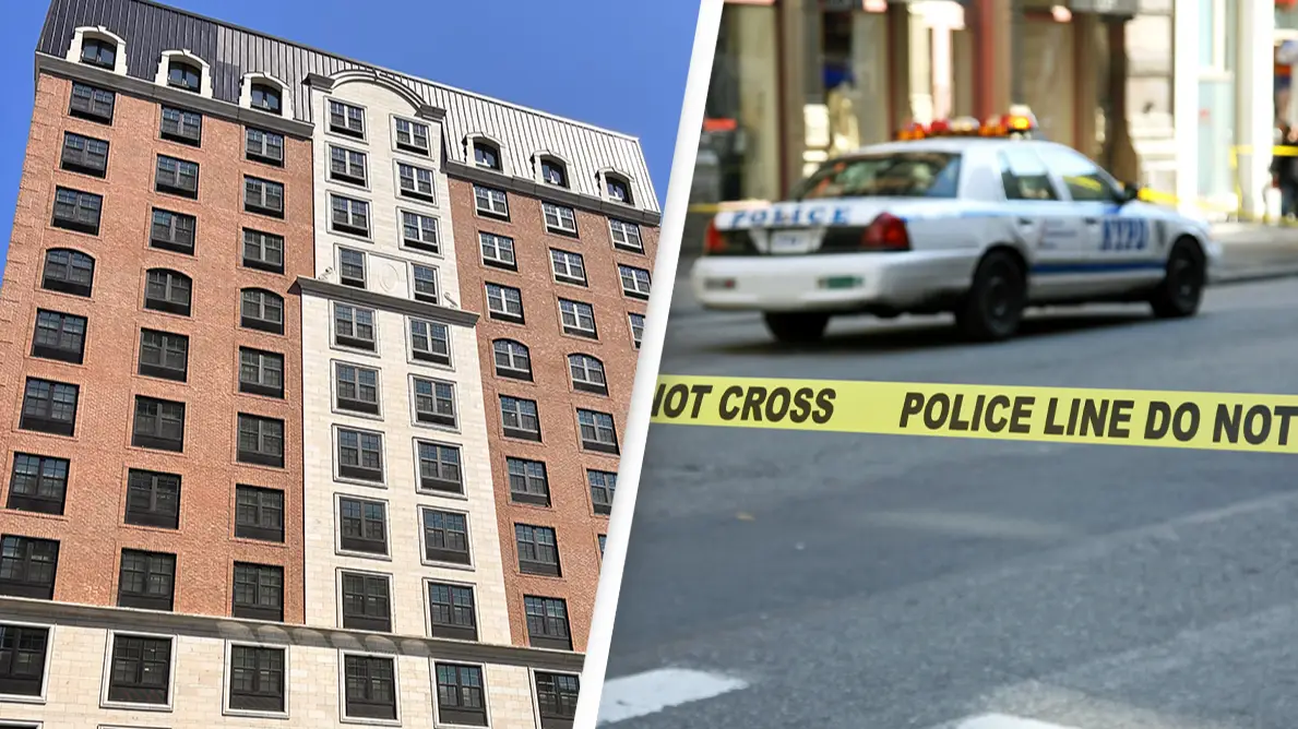 Lindsey Nicholson/UCG/Universal Images Group via Getty Images/Getty Stock Image