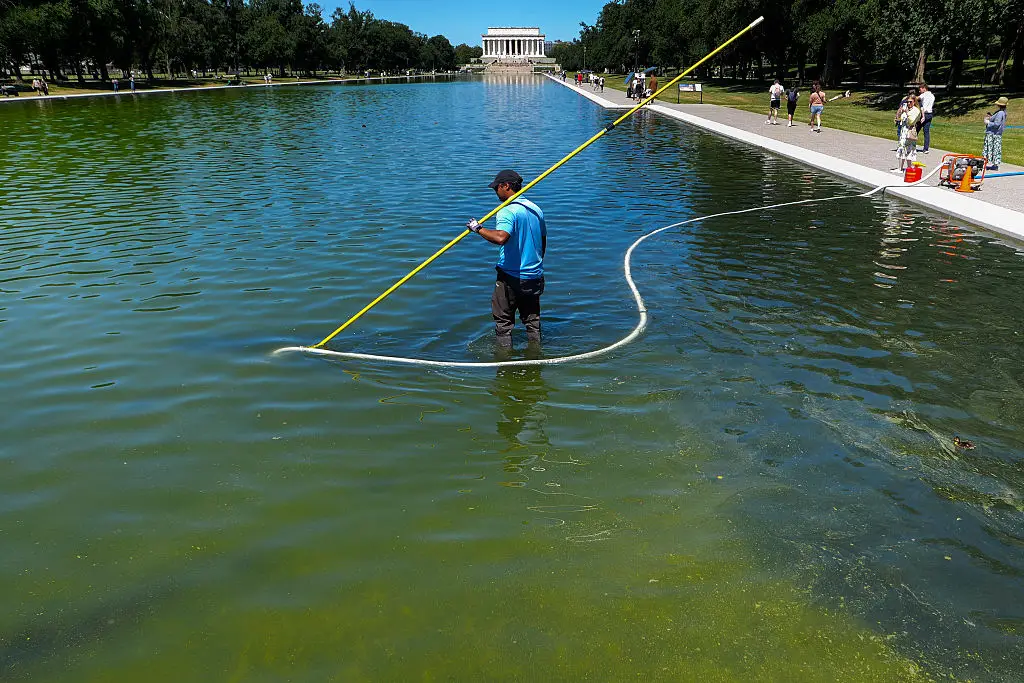 The pool had just been renovated (Photo by Beata Zawrzel/NurPhoto via Getty Images)