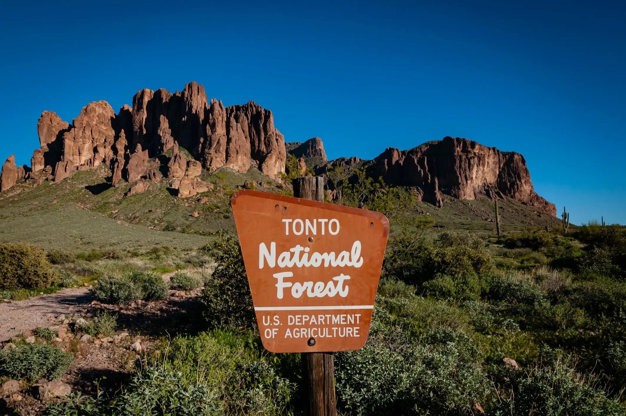 The teenagers were found in Tonto National Forest (Getty Images)