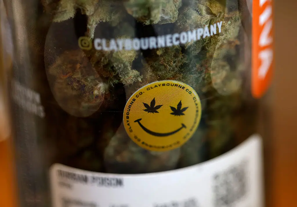 President Donald Trump is looking into reclassifying marijuana in the US (Justin Sullivan/Getty Images)