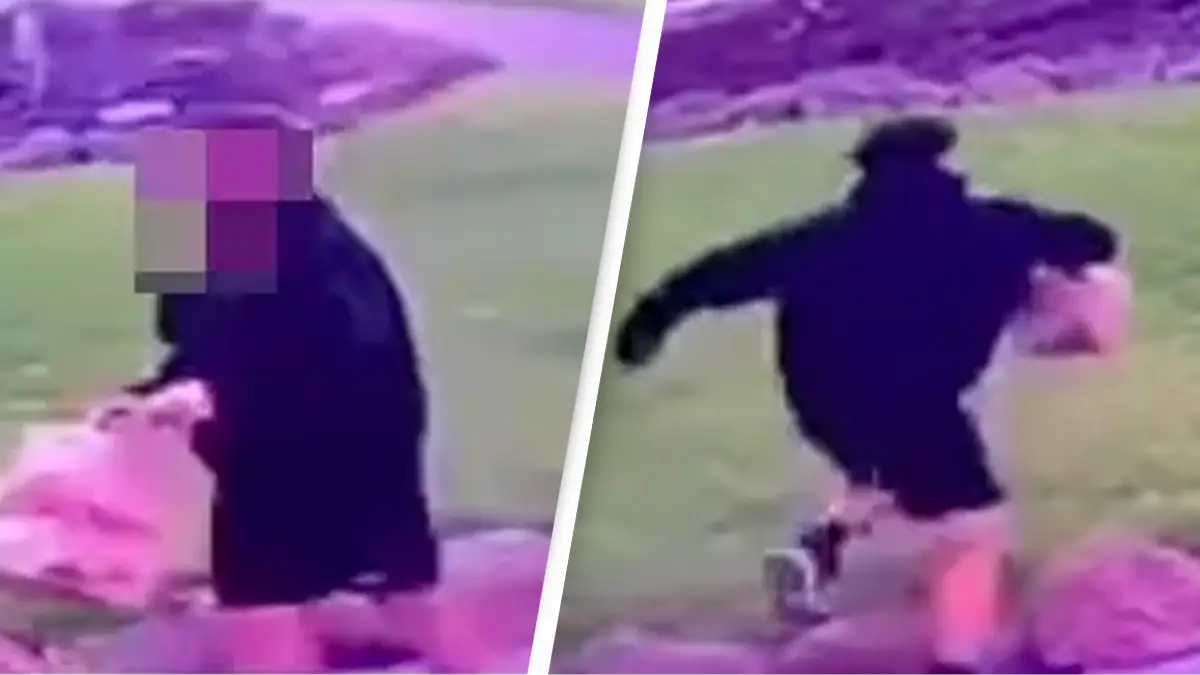 Instagram/jacquifelgate