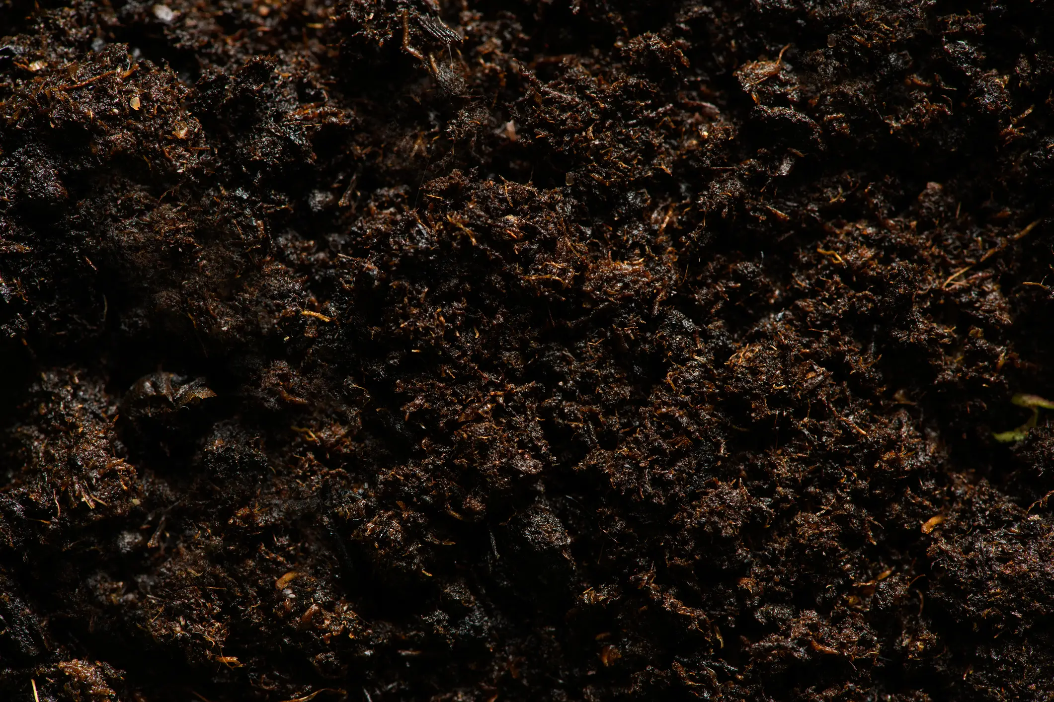 He wanted dirt (Getty Stock Images)