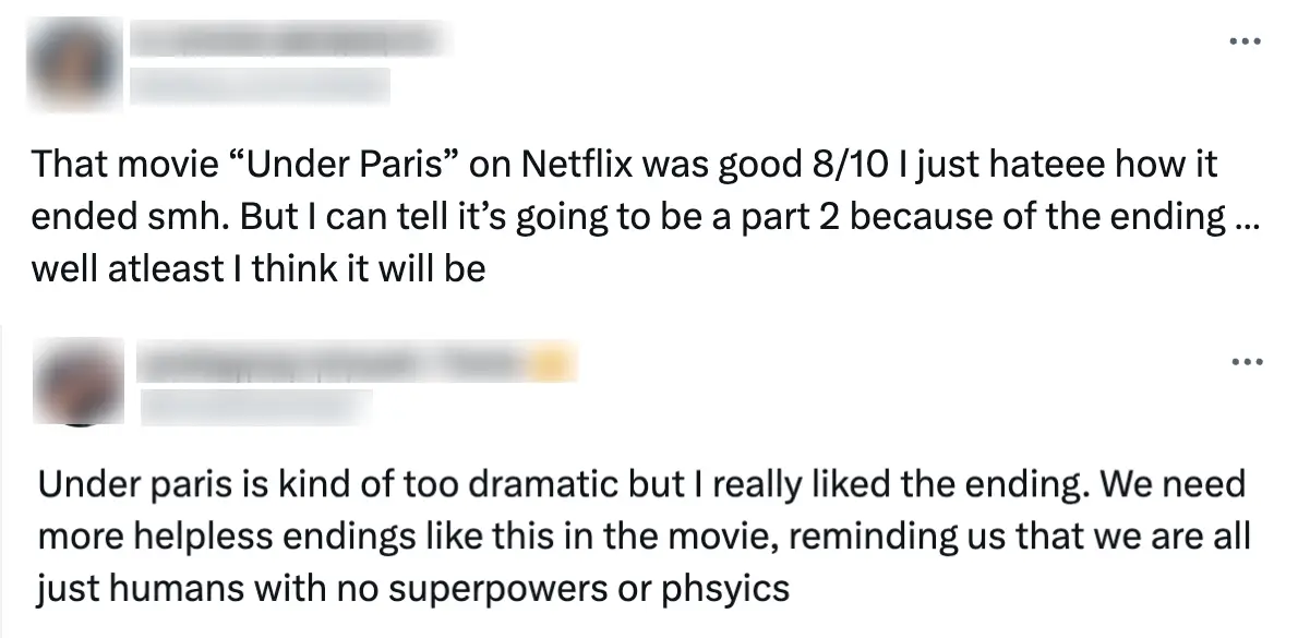 Under Paris' ending has left some Netflix viewers divided (X)