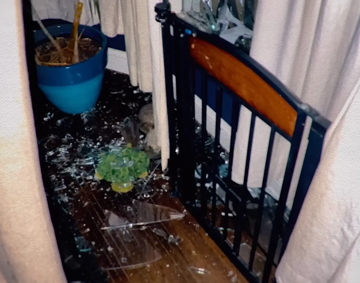Jamal 'JT' Thomas smashed their windows on numerous occasions by throwing rocks (Netflix)
