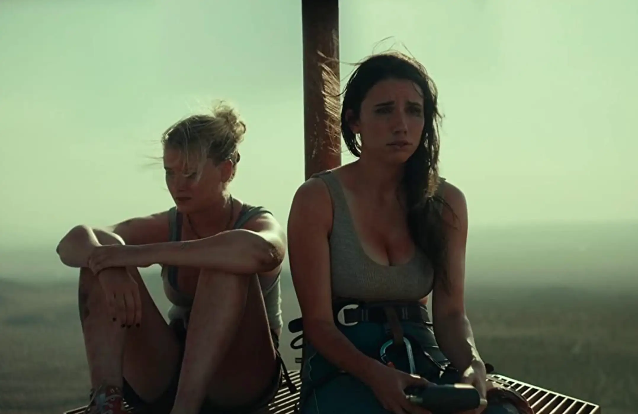 The film centres around two friends who get stuck on top of a 2,000 foot-tall radio tower.