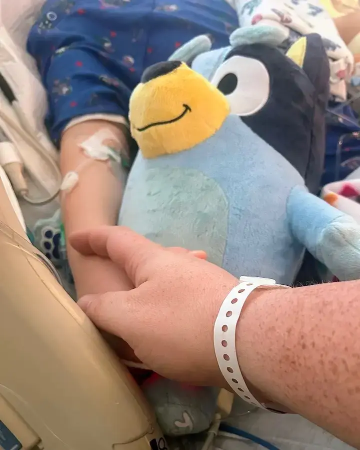 Olivia has tragically passed away after five days of fighting (GoFundMe)