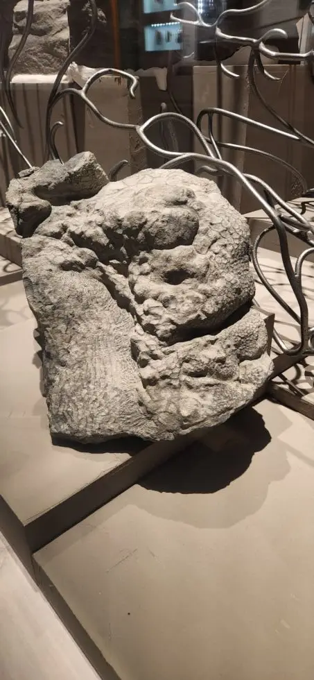 The senior technician revealed the humungous task took him a staggering '7,000 hours'.