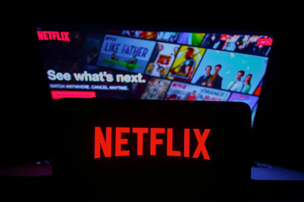 Netflix is an attractive option for investors (Beata Zawrzel/NurPhoto via Getty Images)