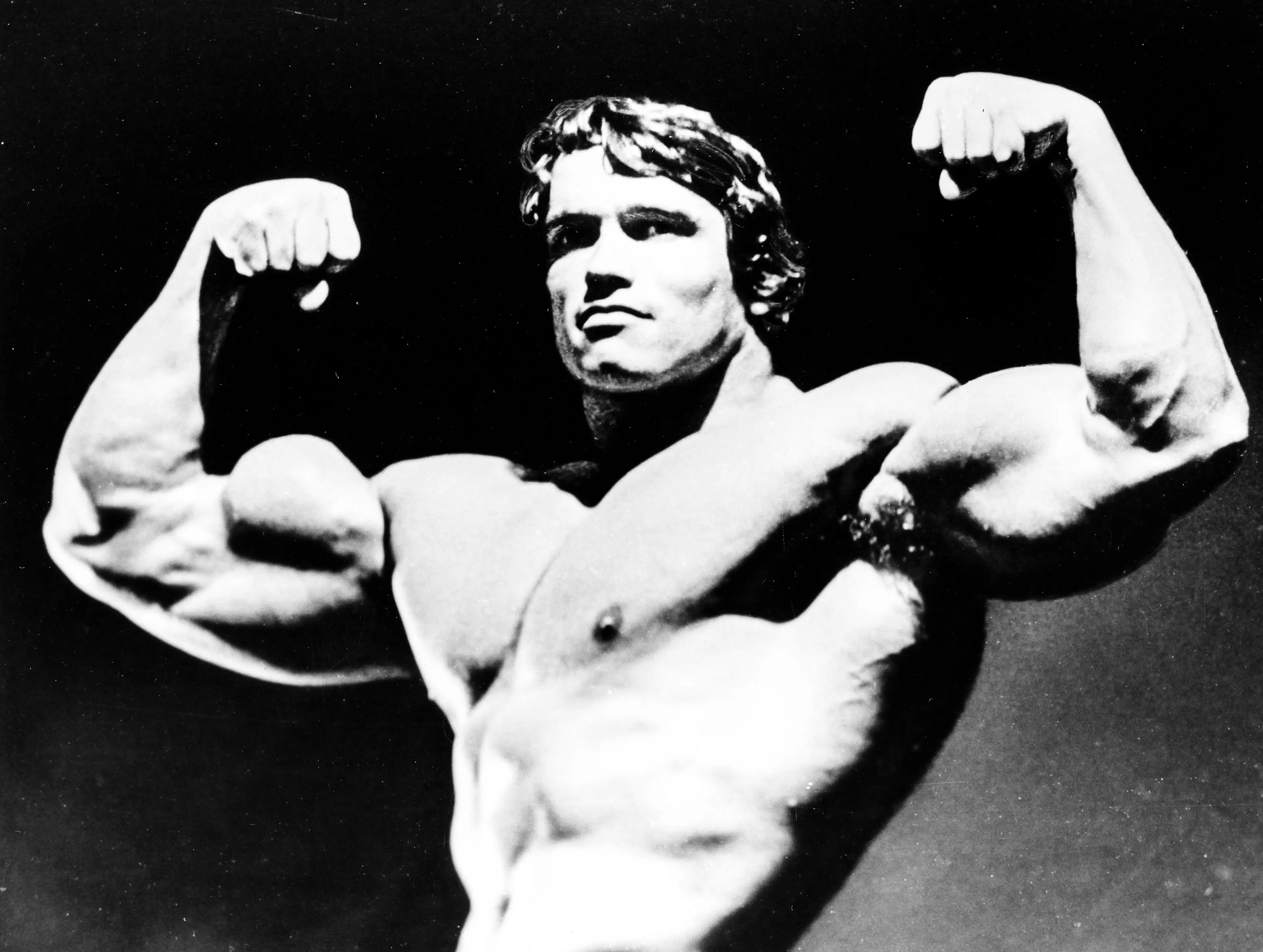 Schwarzenegger was king of the bodybuilding circuit back in the 70s.