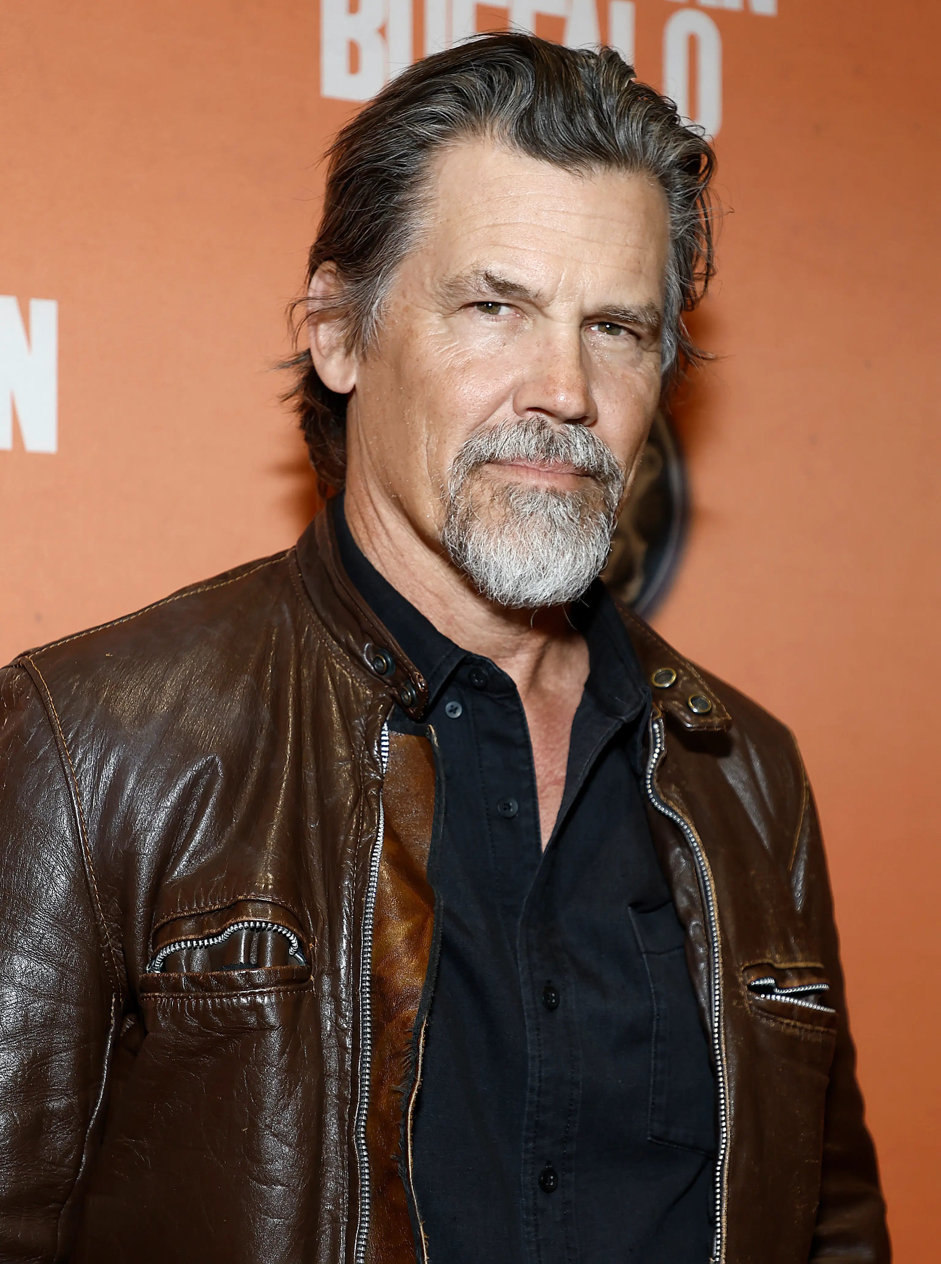 Josh Brolin played Thanos in the MCU.
