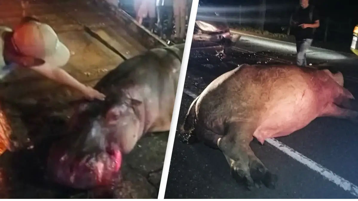 Puerto Triunfo's Fire Brigade