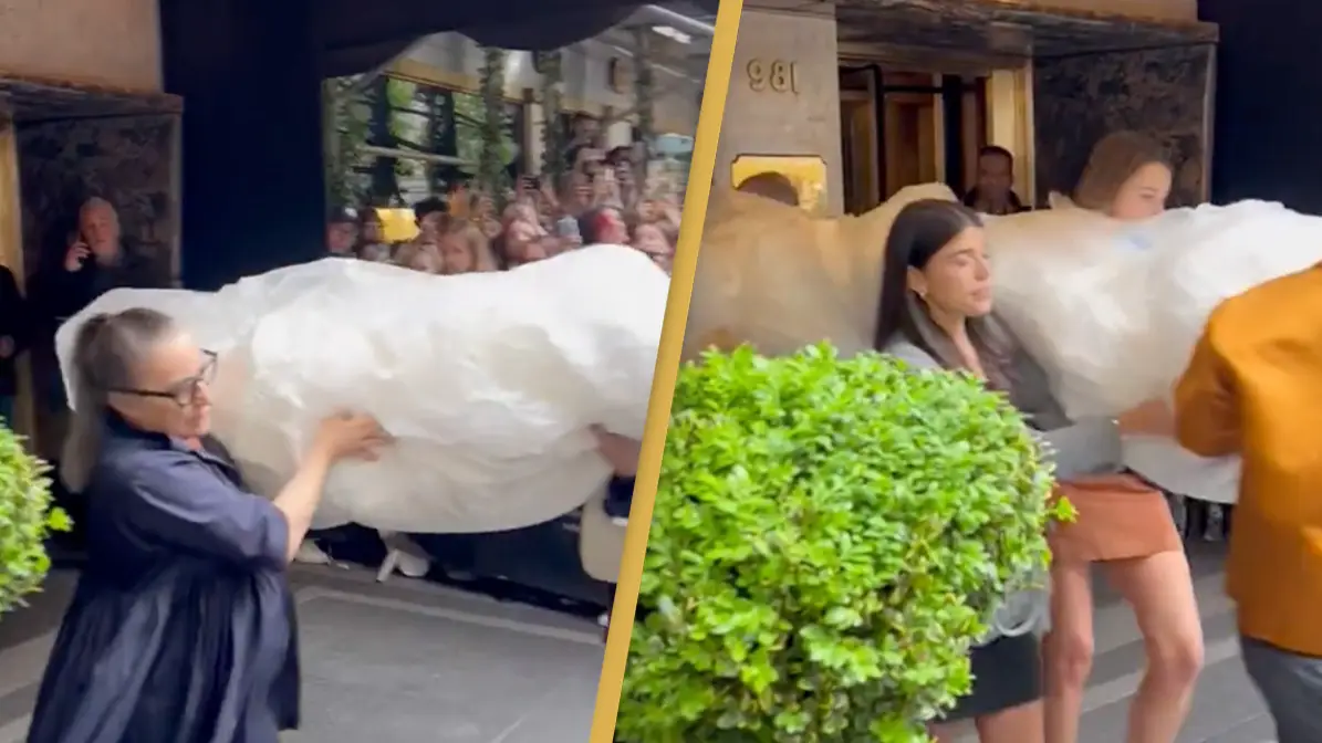 Mysterious celebrity gets carried to Met Gala by team of people