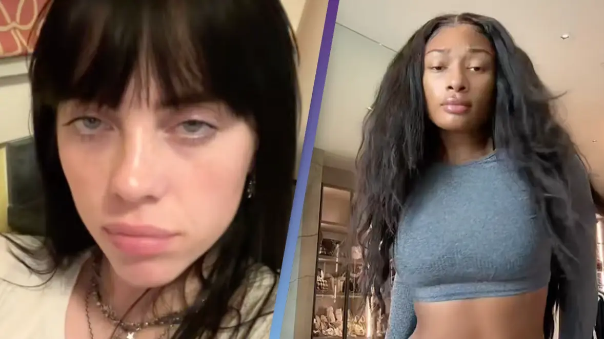 TikTok/billieeilish/TikTok/theestallion