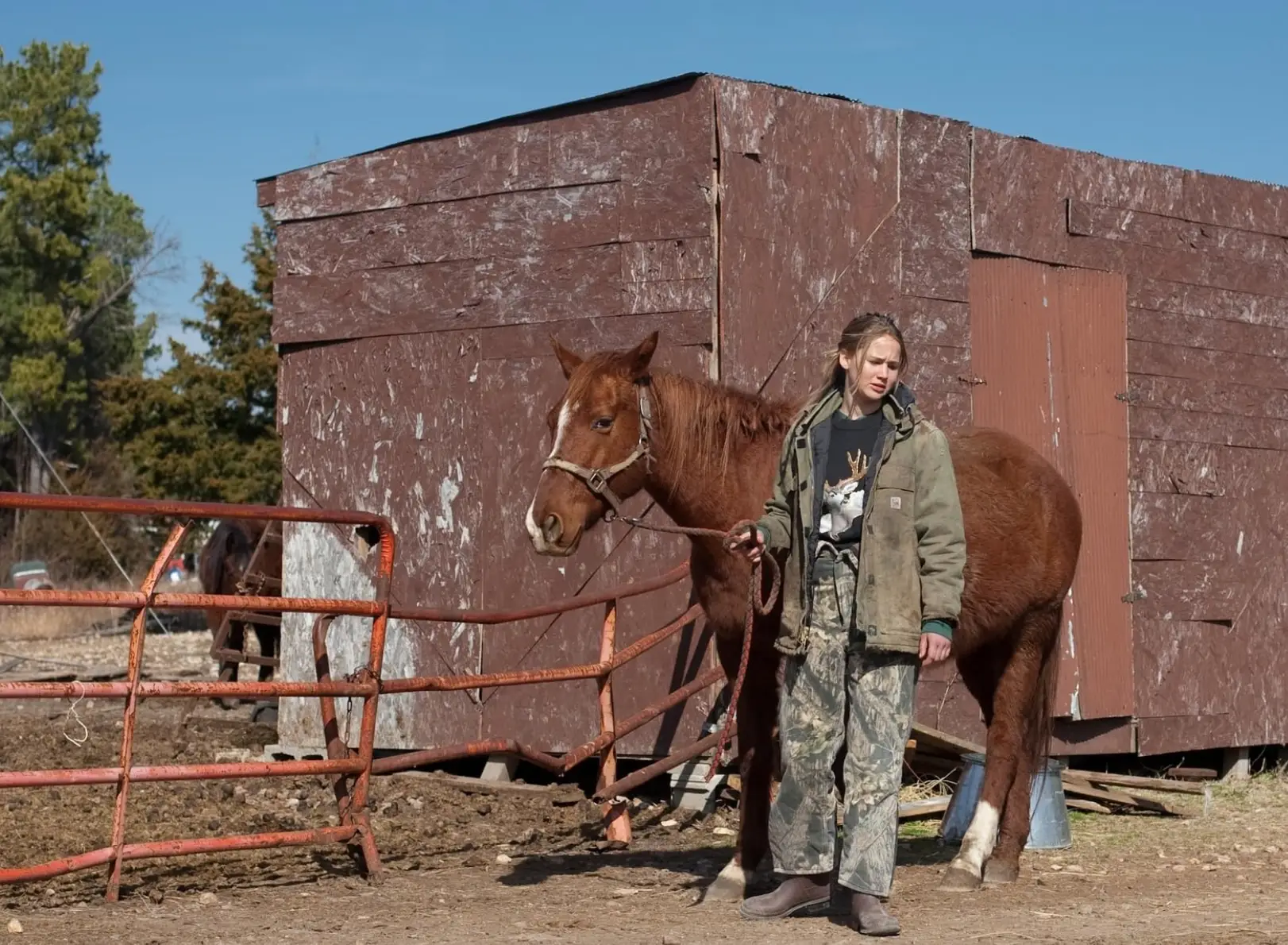 Lawrence in the film. (Roadside Attractions)