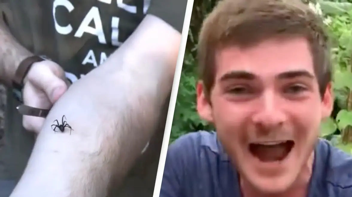 YouTube/Jack’s World of Wildlife