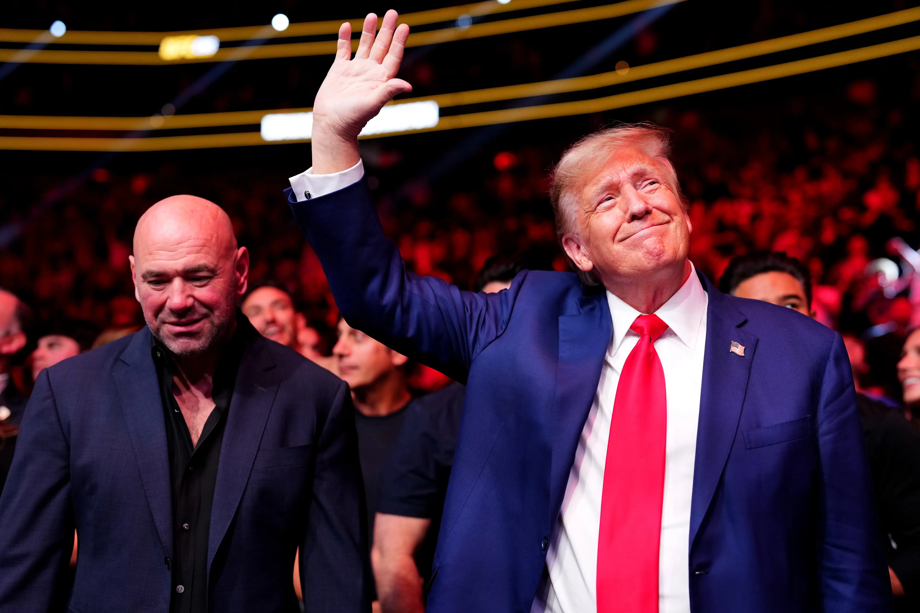 Dana White is a long-standing supporter of Donald Trump (Chris Unger/Zuffa LLC via Getty Images)