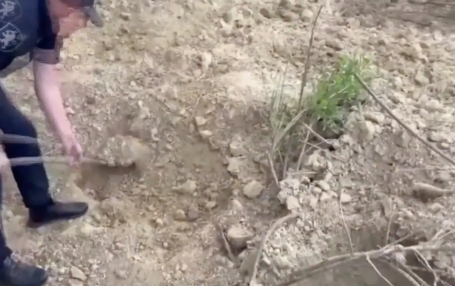 The man was trapped under soil in the suspect's yard. (JamPress)