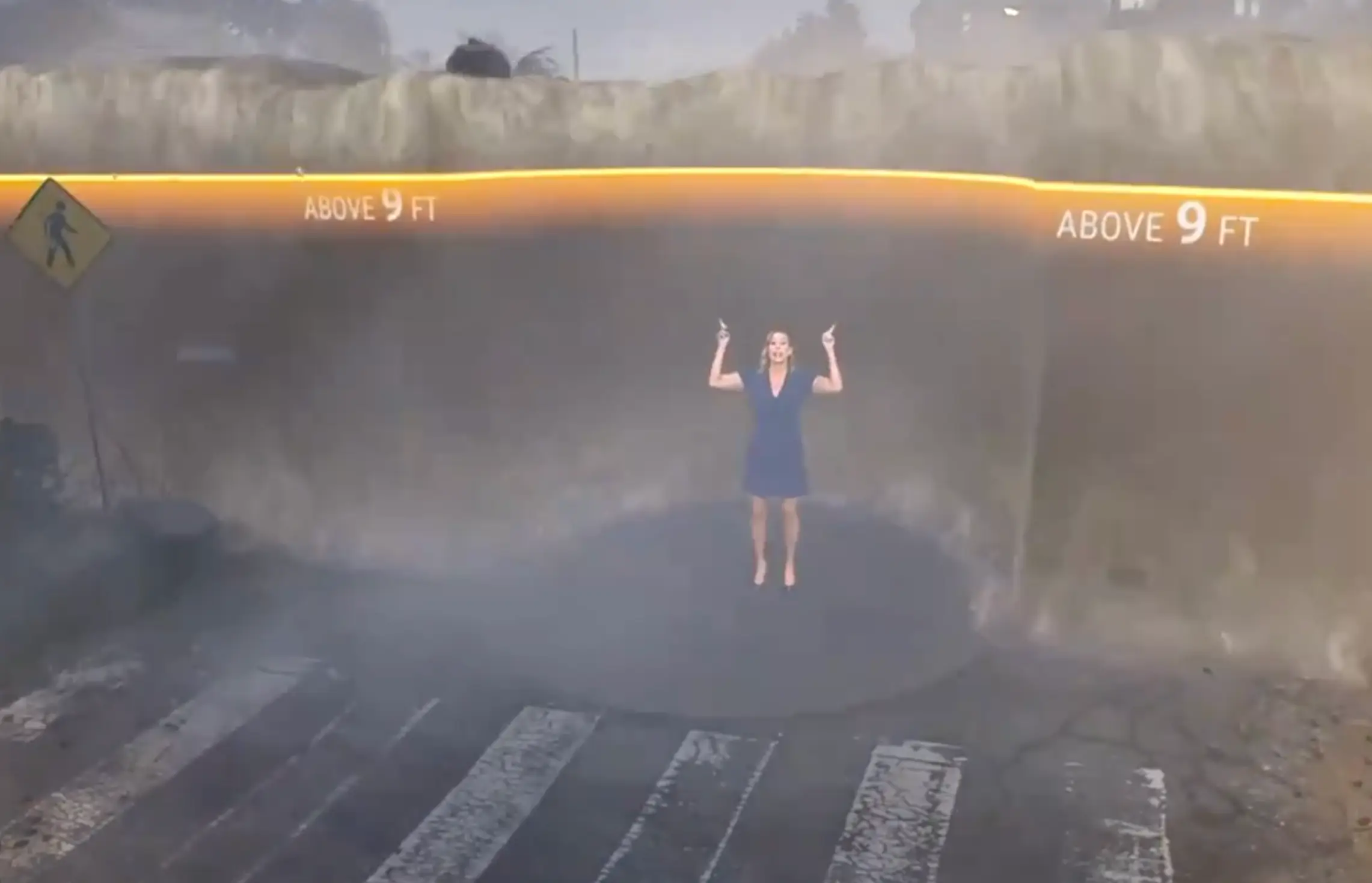 The simulation captures what a 9 foot surge looks like (Twitter/The Weather Channel)